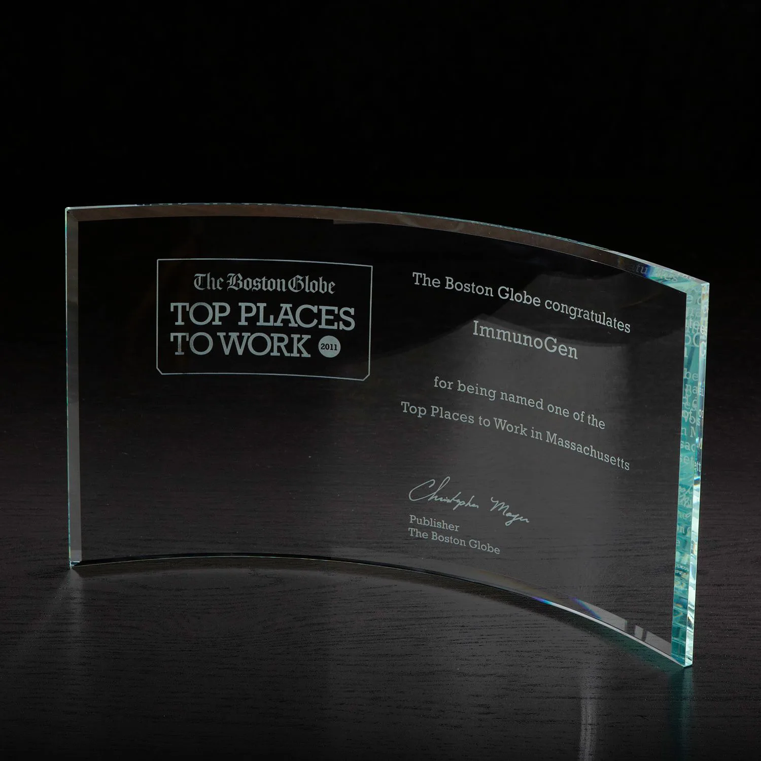 Times Large Glass Award view 2