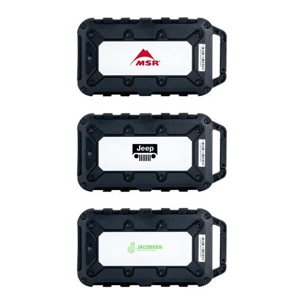 Lion Energy Cub 10000 mAh Powerbank