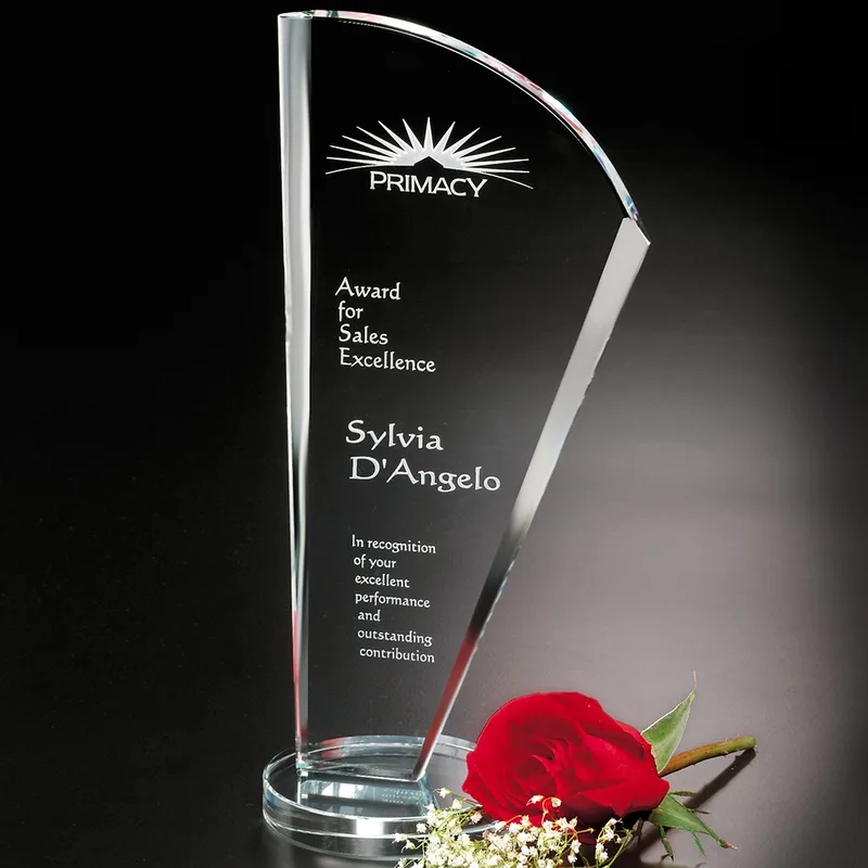 Merit Award 10-1/4"