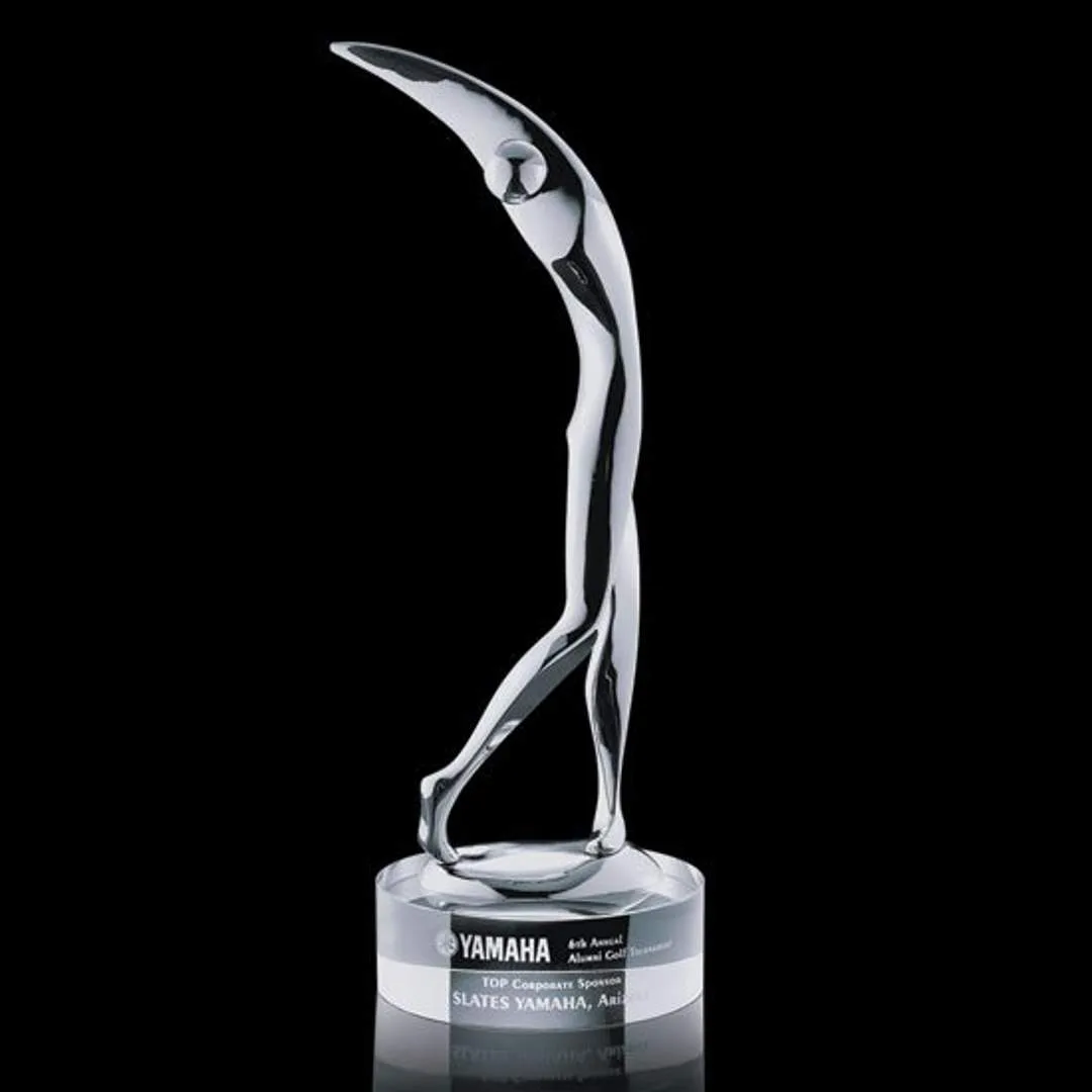 Stoke Golfer Award