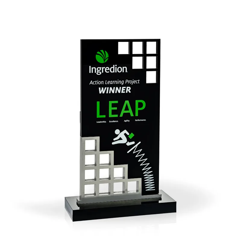Matrix Award 11" Silver