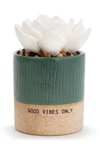 Demdaco (AMC) Succulent Oil Diffuser - Good Vibes