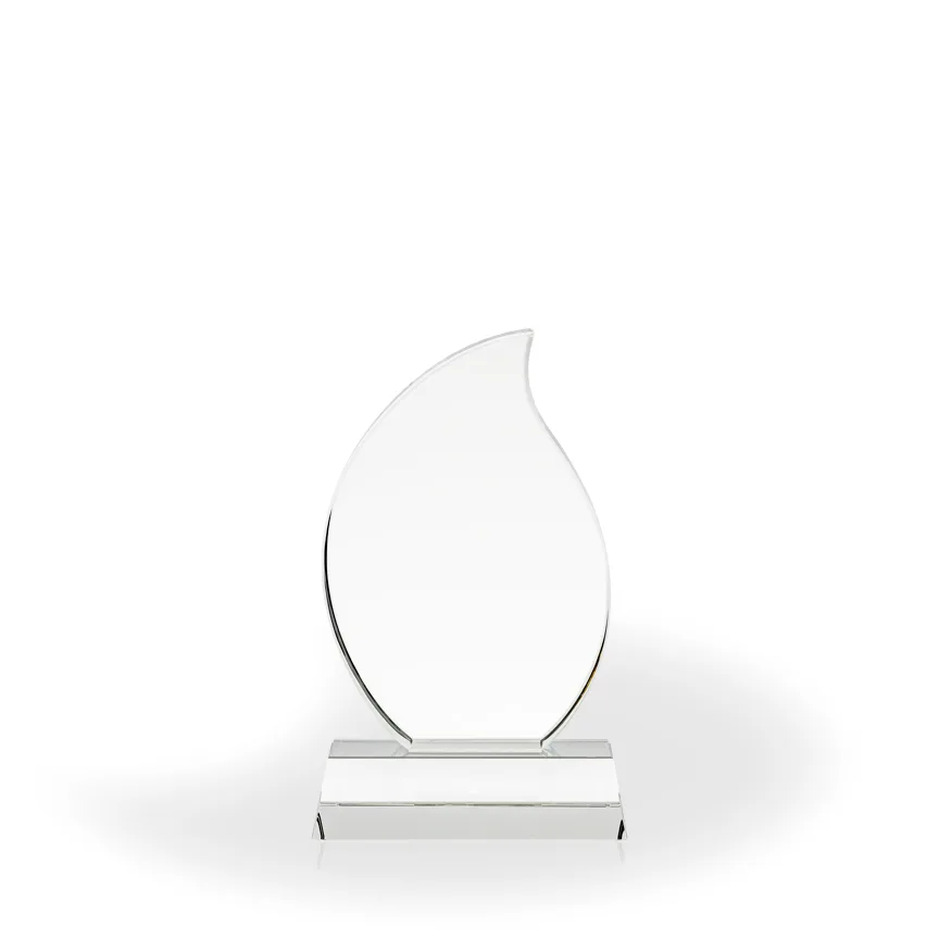 Lucia Crystal Flame Award view 2