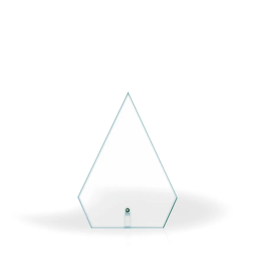 Annette Clear Glass Award view 2