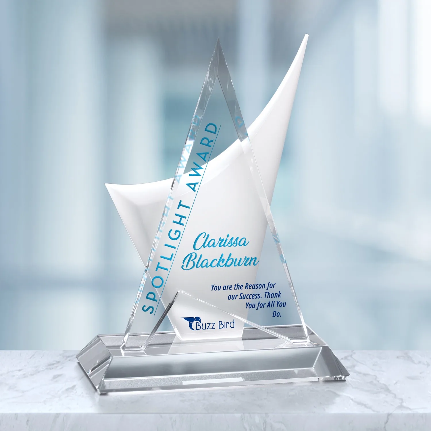 Enterprise Award 11-1/2"