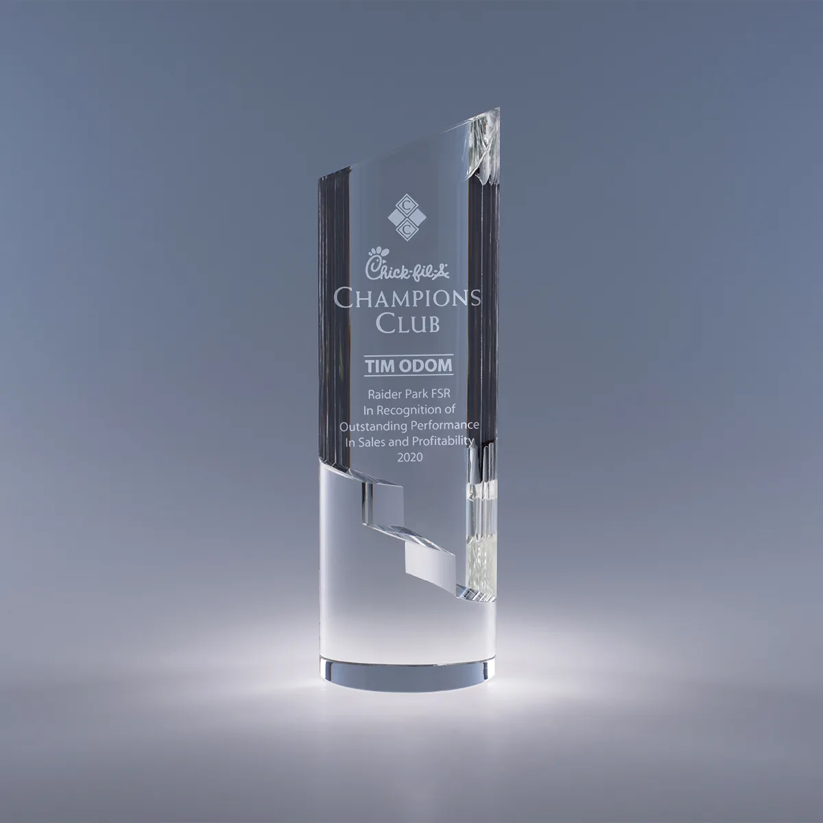 9.5" Trek Crystal Award view 3