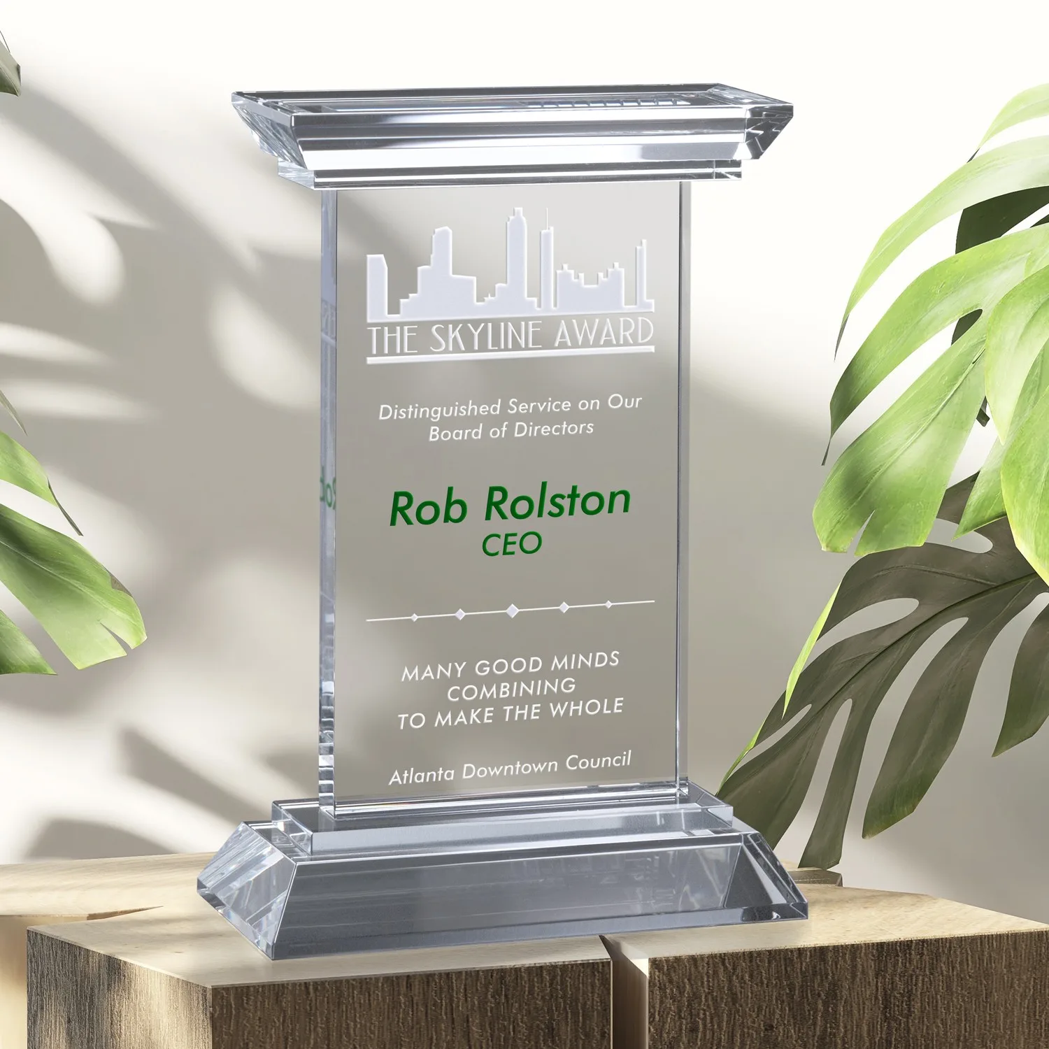 Chatfield Award 9"