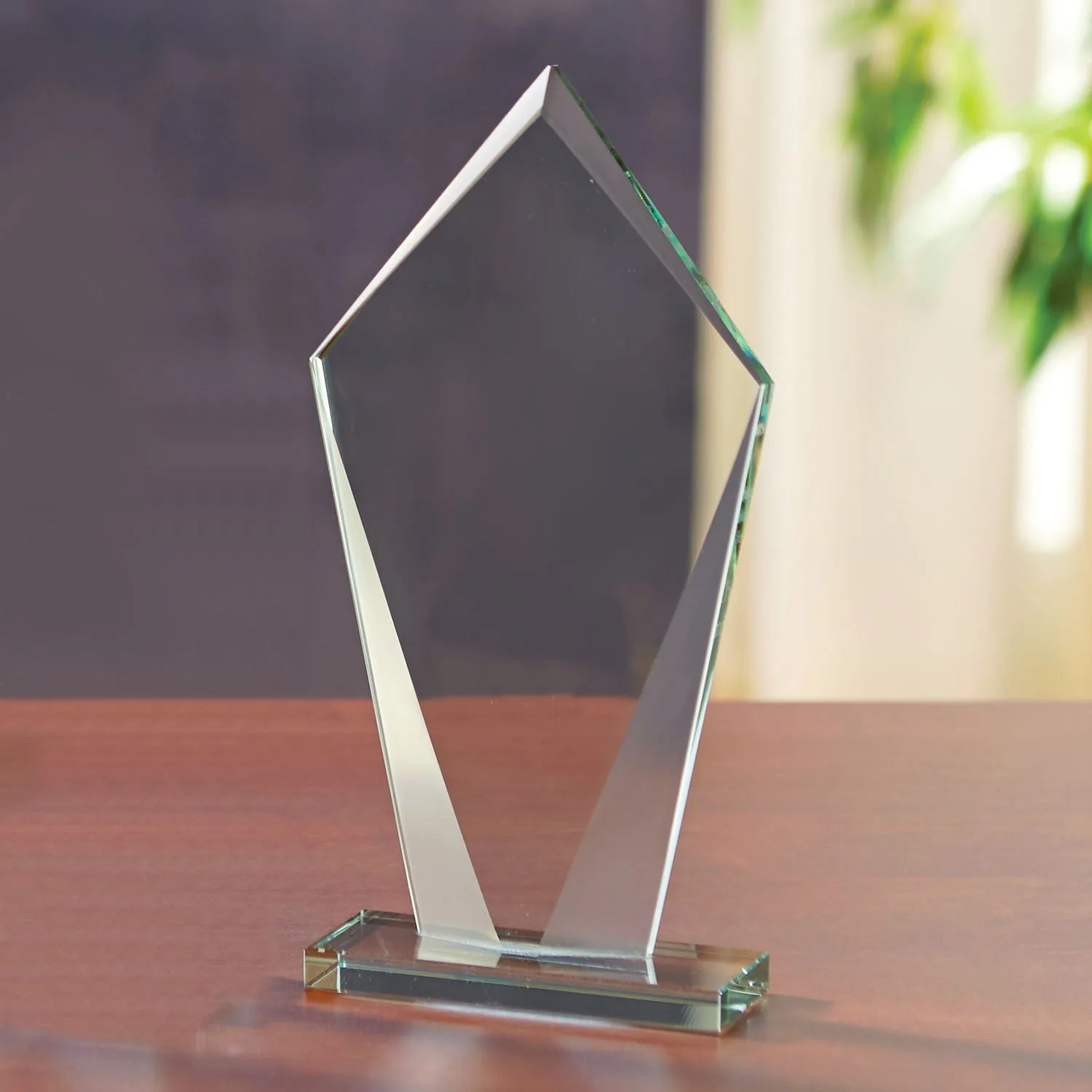 Pierce Award - Medium view 2