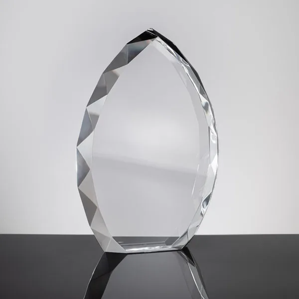 Cosmos Award view 2