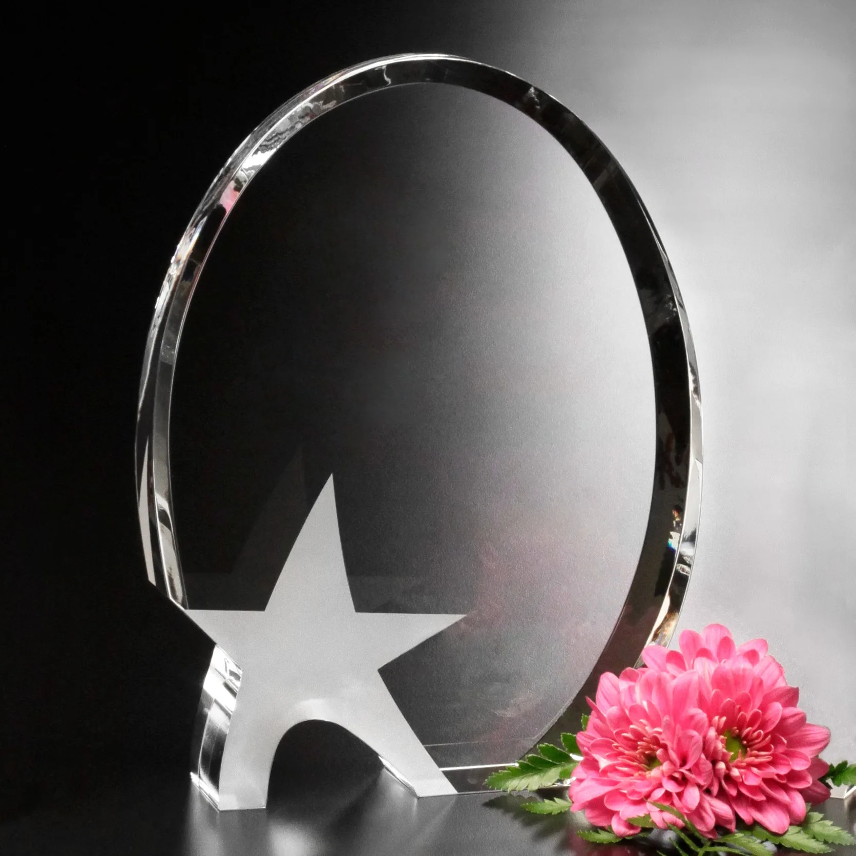Oval Star 8-1/2" view 2