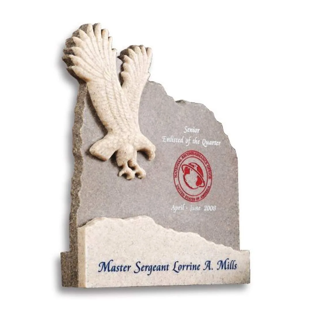 Soaring Eagle Award