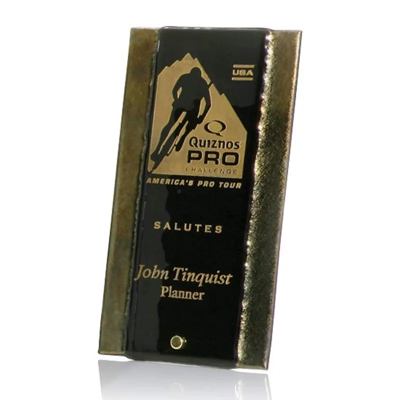 Gold Fusion with Peg Award